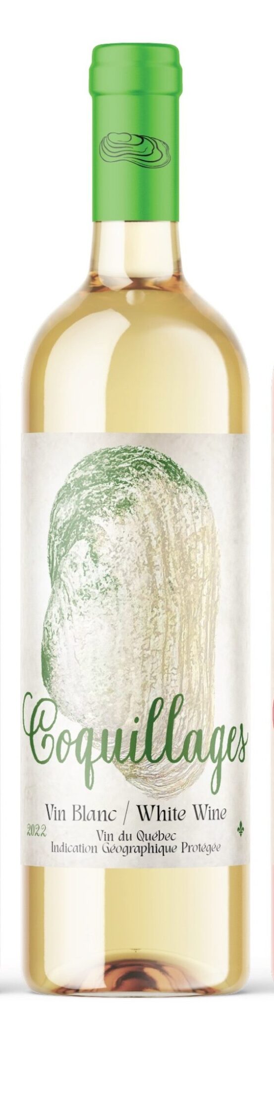 Coquillages blanc 2022